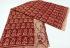 KALAMKARI PRINTED COTTON SAREE