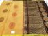 SAREES NEGAMAM WITH BLOUSE