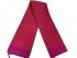 ARNI SILK HALF FINE ZARI SAREE WITH BLOUSE